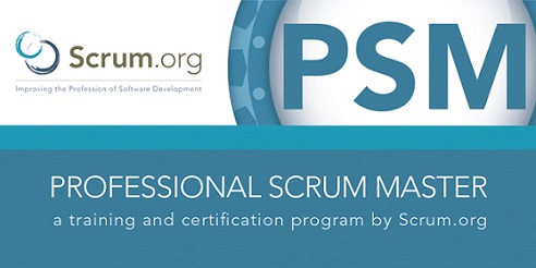 SCRUM Master